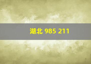 湖北 985 211